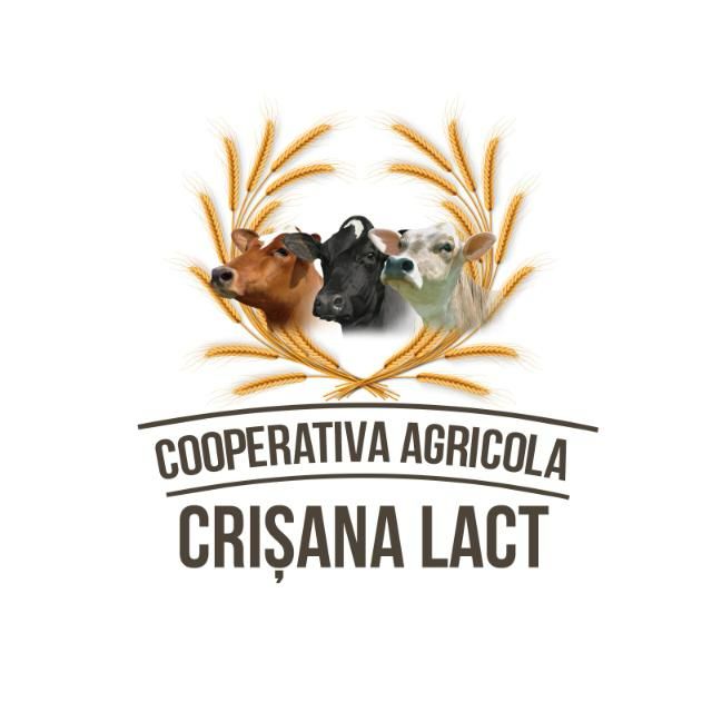 crisanalact
